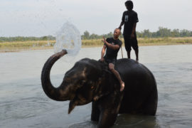 Kathmandu Pokhara Chitwan Tour