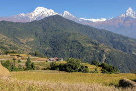 Best of Nepal Tour | Tour in Nepal