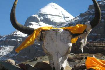 Lhasa to Kailash Mansarovar Tour